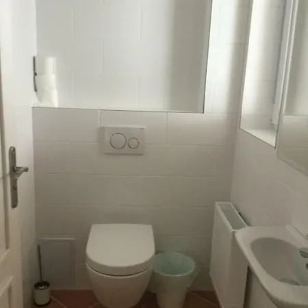 St. Prokop Luxury 254 别墅 Boží Dar